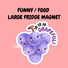 Load image into Gallery viewer, LARGE Fridge Magnets -CUTE / FOOD / FUNNY