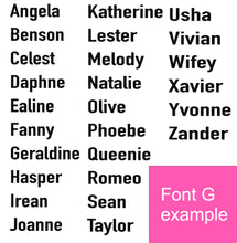 Load image into Gallery viewer, Personalised Keychain Holder (5 colours)